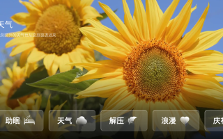任意窗TV v2.5.1067 动态氛围壁纸 沉浸式体验