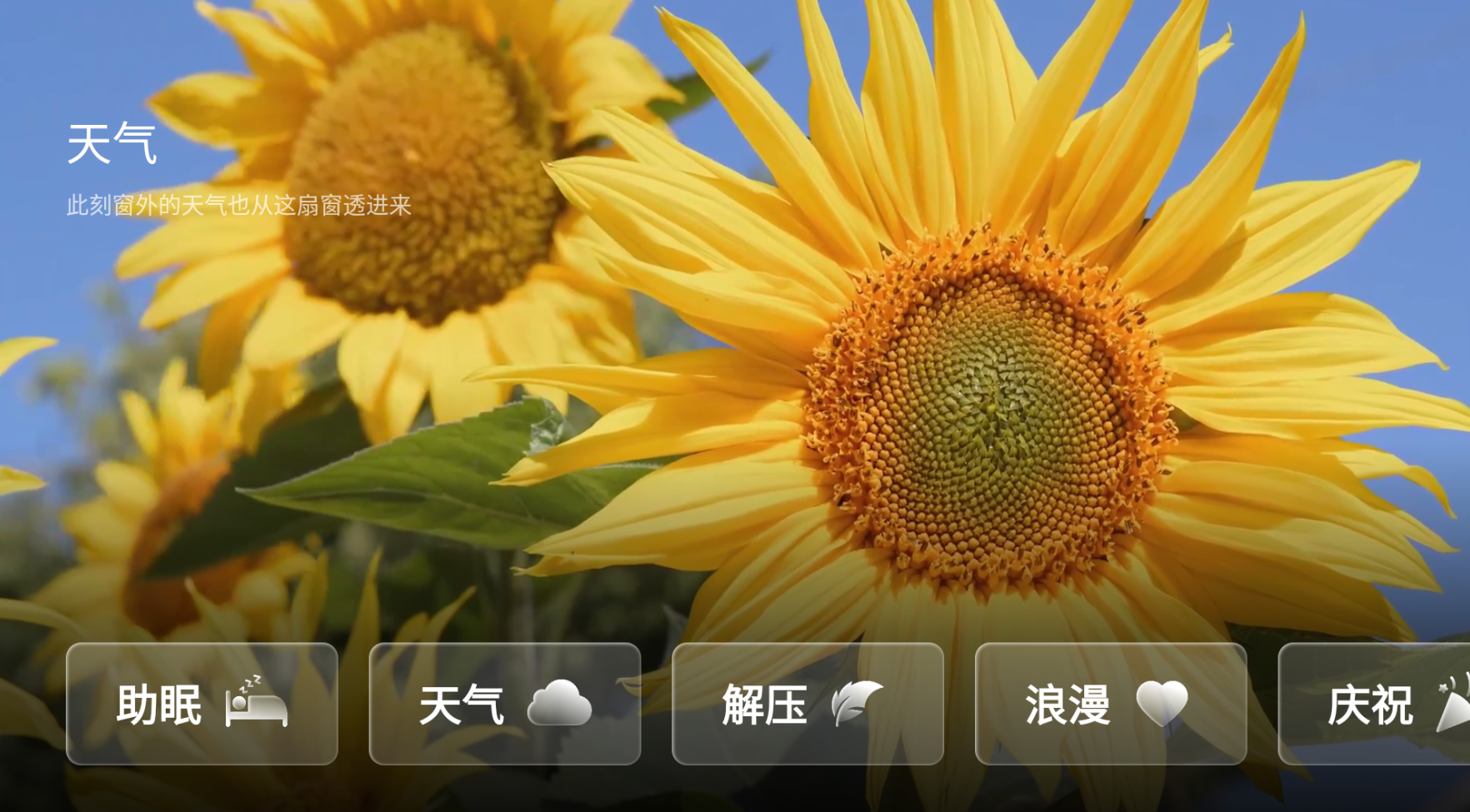 任意窗TV v2.5.1067 动态氛围壁纸 沉浸式体验-第1张图片-TV盒迷